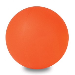 PELOTA HOCKEY 